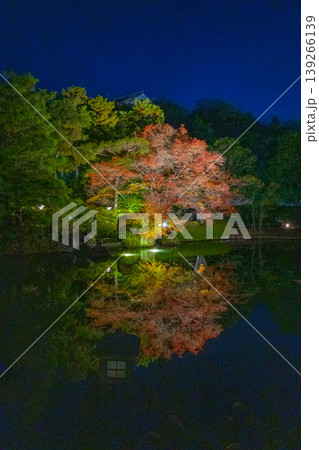 姫路市好古園の紅葉絵 139266139