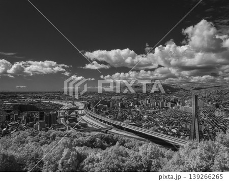 【赤外線撮影】五月山から見る都市の風景 139266265