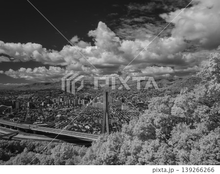 【赤外線撮影】五月山から見る都市の風景 【赤外線撮影】五月山から見る都市の風景 139266266