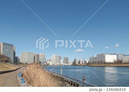 【石川島公園からの永代橋】 【石川島公園からの永代橋】 139266819