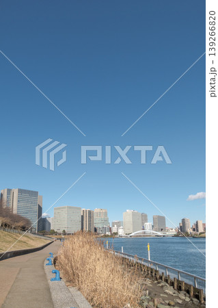 【石川島公園からの永代橋】 139266820