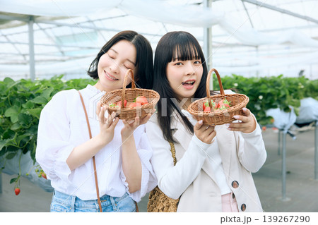 いちご狩りを楽しむ若い女性2人・ビニールハウスで収穫したいちごのバスケットを持って笑顔のフレンド いちご狩りを楽しむ若い女性2人・ビニールハウスで収穫したいちごのバスケットを持って笑顔のフレンド 139267290