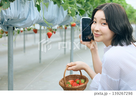 いちご狩りハウスでスマートフォンを使って写真撮影する若い女性・苺の入った籠を持つ笑顔の日本人女性 いちご狩りハウスでスマートフォンを使って写真撮影する若い女性・苺の入った籠を持つ笑顔の日本人女性 139267298