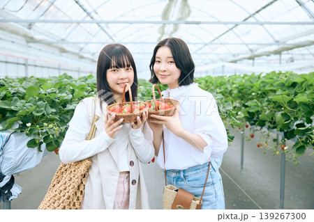 いちご狩りを楽しむ二人の若い女性・ビニールハウスで摘みたてイチゴを持って微笑む友達同士の春のレジャー 139267300