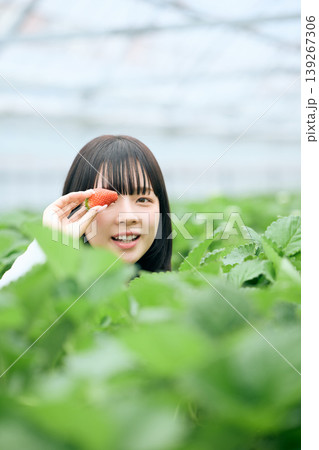 いちご狩りで摘みたての苺を手に持ち笑顔を見せる若い女性・ビニールハウスでの収穫体験 いちご狩りで摘みたての苺を手に持ち笑顔を見せる若い女性・ビニールハウスでの収穫体験 139267306