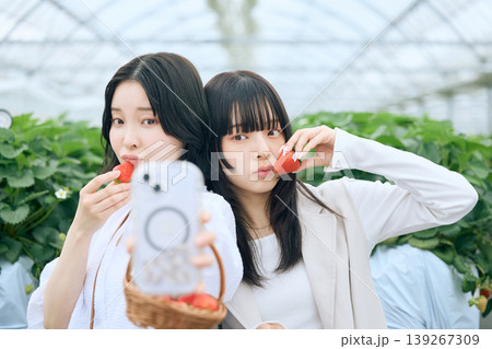 いちご狩りのビニールハウスでいちごを持ってスマホで自撮りする二人の若い女性・友達同士の休日レジャー いちご狩りのビニールハウスでいちごを持ってスマホで自撮りする二人の若い女性・友達同士の休日レジャー 139267309