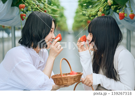 いちご狩りを楽しむ二人の若い女性・ハウス栽培の苺を手に笑顔で向かい合う友達同士 139267318