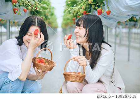 いちご狩りを楽しむ若い女性2人・ビニールハウ いちご狩りを楽しむ若い女性2人・ビニールハウ 139267319