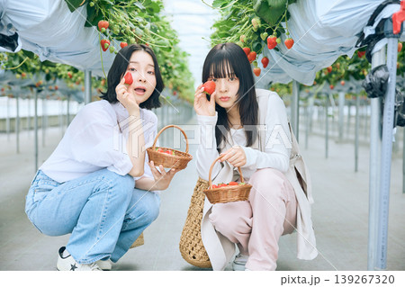 いちご狩りを楽しむ若い女性2人・ビニールハウスでいちごを持ってポーズする友達同士の春のレジャー いちご狩りを楽しむ若い女性2人・ビニールハウスでいちごを持ってポーズする友達同士の春のレジャー 139267320