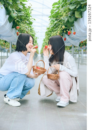 いちご狩りを楽しむ二人の若い女性・ビニールハウスで苺を食べる友達同士の笑顔 139267324