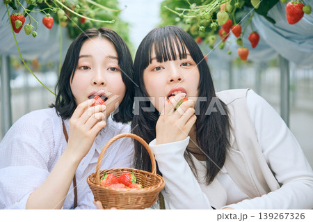 いちご狩りを楽しむ若い女性2人・ハウス栽培の苺を頬張る友達同士の笑顔のポートレート いちご狩りを楽しむ若い女性2人・ハウス栽培の苺を頬張る友達同士の笑顔のポートレート 139267326