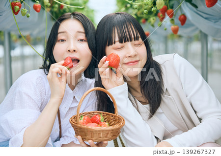 いちご狩りを楽しむ二人の若い女性・ビニールハウスで摘みたての苺を頬張る笑顔の友達同士 いちご狩りを楽しむ二人の若い女性・ビニールハウスで摘みたての苺を頬張る笑顔の友達同士 139267327