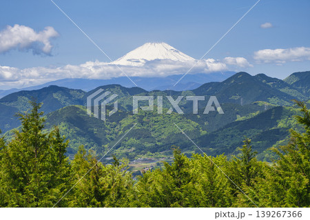 【神奈川県】菜の花台から眺める富士山 【神奈川県】菜の花台から眺める富士山 139267366