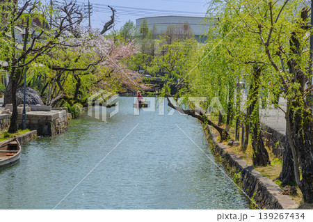 倉敷美観地区の桜のある風景 倉敷美観地区の桜のある風景 139267434