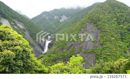 千尋の滝 屋久島 千尋の滝 屋久島 139267571