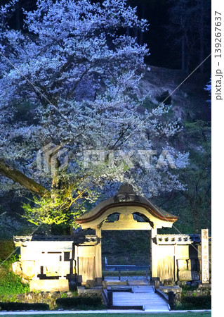 朝倉遺跡　唐門と桜夕景　戦国時代 139267637