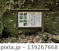 伊尾木洞 139267668