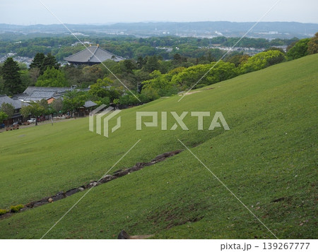 若草山登山で見える絶景。新緑の山肌と奈良盆地のパノラマ 若草山登山で見える絶景。新緑の山肌と奈良盆地のパノラマ 139267777