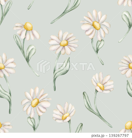 Cute Daisy Chamomile Flowers Seamless Pattern. Wildflowers Watercolor summer spring floral illustration hand painted isolated on light blue background for nursery baby kids design fresh fabric textile Cute Daisy Chamomile Flowers Seamless Pattern. Wildflowers Watercolor summer spring floral illustration hand painted isolated on light blue background for nursery baby kids design fresh fabric textile 139267797