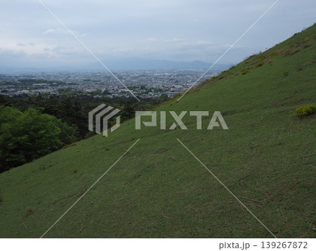 古都のパノラマ。若草山の登山道から一望する奈良盆地としっとりとした新緑の丘 古都のパノラマ。若草山の登山道から一望する奈良盆地としっとりとした新緑の丘 139267872