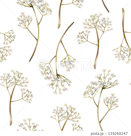 Gypsophila flowers Seamless Pattern. Baby's breath Watercolor hand drawn floral illustration isolated on white background for Easter holiday spring design home textile fresh fabric print crockery 139268247