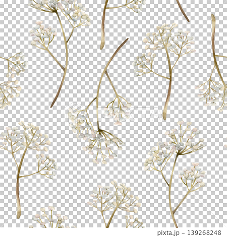 Gypsophila flowers Seamless Pattern. Baby's breath Watercolor hand drawn floral illustration isolated on white background for Easter holiday spring design home textile fresh fabric print crockery Gypsophila flowers Seamless Pattern. Baby's breath Watercolor hand drawn floral illustration isolated on white background for Easter holiday spring design home textile fresh fabric print crockery 139268248
