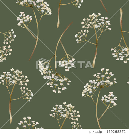 Gypsophila flowers Seamless Pattern. Baby's breath Watercolor hand drawn floral illustration isolated on green background for Easter holiday spring design home textile fresh fabric print crockery Gypsophila flowers Seamless Pattern. Baby's breath Watercolor hand drawn floral illustration isolated on green background for Easter holiday spring design home textile fresh fabric print crockery 139268272