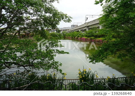 桃ヶ池の風景 139268640