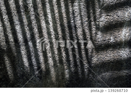 Sharp shadow of a palm tree leaf on a vertical concrete fence under direct sunlight 139268710