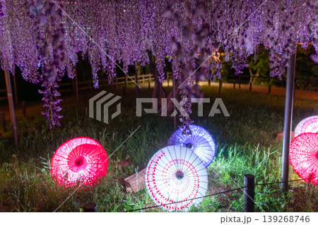 岡崎城 五万石藤まつりのライトアップと夜景風景 岡崎城 五万石藤まつりのライトアップと夜景風景 139268746