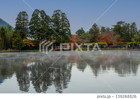 金鱗湖の風景 金鱗湖の風景 139268826