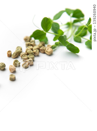Pea seeds germinating with fresh green sprouts 139268940
