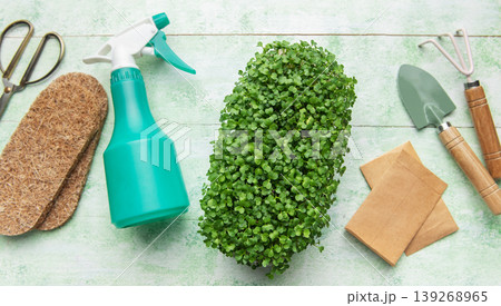 Microgreens growing kit with gardening tools 139268965