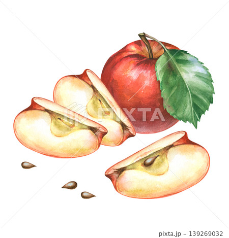 Hand-painted watercolor illustration of a ripe red apple featuring a whole fruit with a green leaf, juicy slices, and separate apple seeds. Botanical composition isolated on a white background. For 139269032