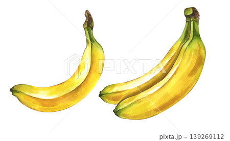 Watercolor set with the image of two ripe bananas. Realistic clipart on an isolated background. It is ideal for creating a healthy lifestyle brand, fresh food packaging and tropical themed design. Watercolor set with the image of two ripe bananas. Realistic clipart on an isolated background. It is ideal for creating a healthy lifestyle brand, fresh food packaging and tropical themed design. 139269112
