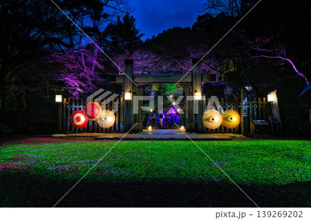 伝統的な岐阜和傘や岐阜提灯を使用した幻想的なライトアップイベント「ぎふ灯り物語2026」 伝統的な岐阜和傘や岐阜提灯を使用した幻想的なライトアップイベント「ぎふ灯り物語2026」 139269202