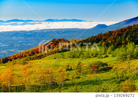 秋の志賀草津高原ルート 朝の雲海と紅葉 遠方に富士山を望む絶景 秋の志賀草津高原ルート 朝の雲海と紅葉 遠方に富士山を望む絶景 139269272