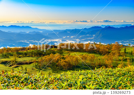 志賀草津高原ルートより雲海越しに望む関東平野と色づく山肌の絶景 志賀草津高原ルートより雲海越しに望む関東平野と色づく山肌の絶景 139269273