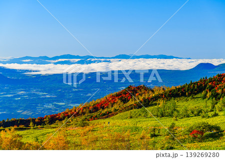 秋の志賀草津高原ルート 朝の雲海と紅葉 遠方に富士山を望む絶景 139269280