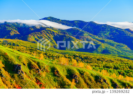 志賀草津高原ルートより雲海越しに望む関東平野と色づく山肌の絶景 志賀草津高原ルートより雲海越しに望む関東平野と色づく山肌の絶景 139269282