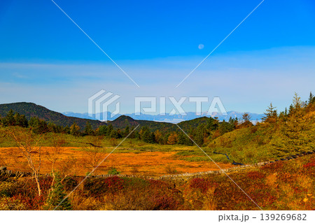秋の草津白根山 弓池の草紅葉と雲海越しに望む北アルプスの大パノラマ 139269682