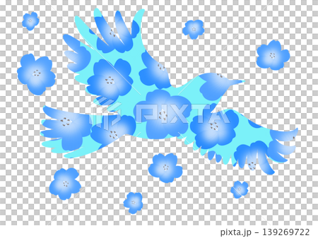 Illustrations featuring nemophila flowers Illustrations featuring nemophila flowers 139269722