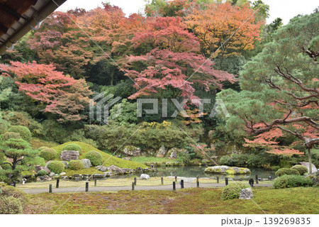 秋の青蓮院　相阿弥の庭(京都市東山区) 139269835