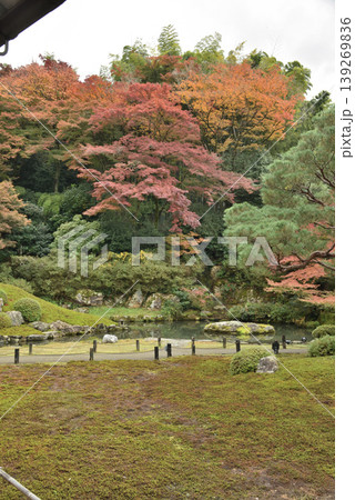 秋の青蓮院 相阿弥の庭(京都市東山区) 秋の青蓮院 相阿弥の庭(京都市東山区) 139269836