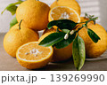 甘夏 139269990