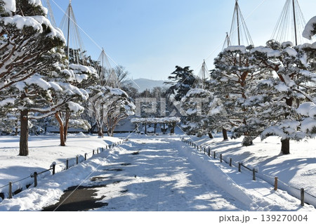 雪化粧した日本庭園と雪吊りの冬景色 雪化粧した日本庭園と雪吊りの冬景色 139270004
