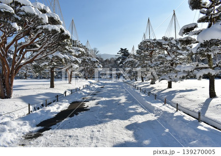 雪化粧した日本庭園と雪吊りの冬景色 雪化粧した日本庭園と雪吊りの冬景色 139270005