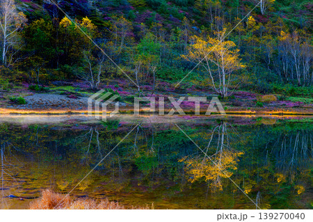 弓池の水面に映る鮮やかな紅葉 志賀草津高原ルートの美しい水鏡 弓池の水面に映る鮮やかな紅葉 志賀草津高原ルートの美しい水鏡 139270040