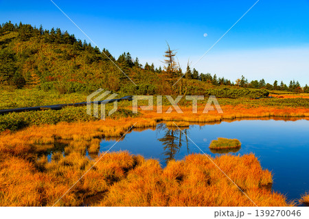 弓池に映る有明の月と紅葉の水鏡 志賀草津高原ルートの幻想的な秋の夜明け 139270046