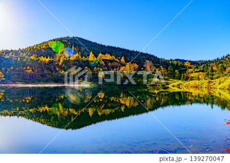 弓池の水面に映る鮮やかな紅葉 志賀草津高原ルートの美しい水鏡 139270047